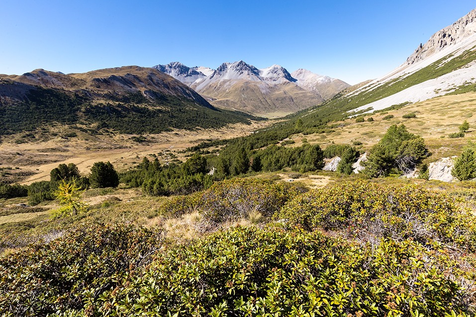 Vue sur la vallée de la Clemgia, peu avant le Pass da Costainas. Photos: Daniel Fleuti
