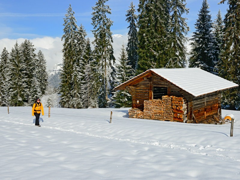 Les cabanes noircies par le soleil semblent plongées dans une profonde hibernation. Photo: natur-welten.ch