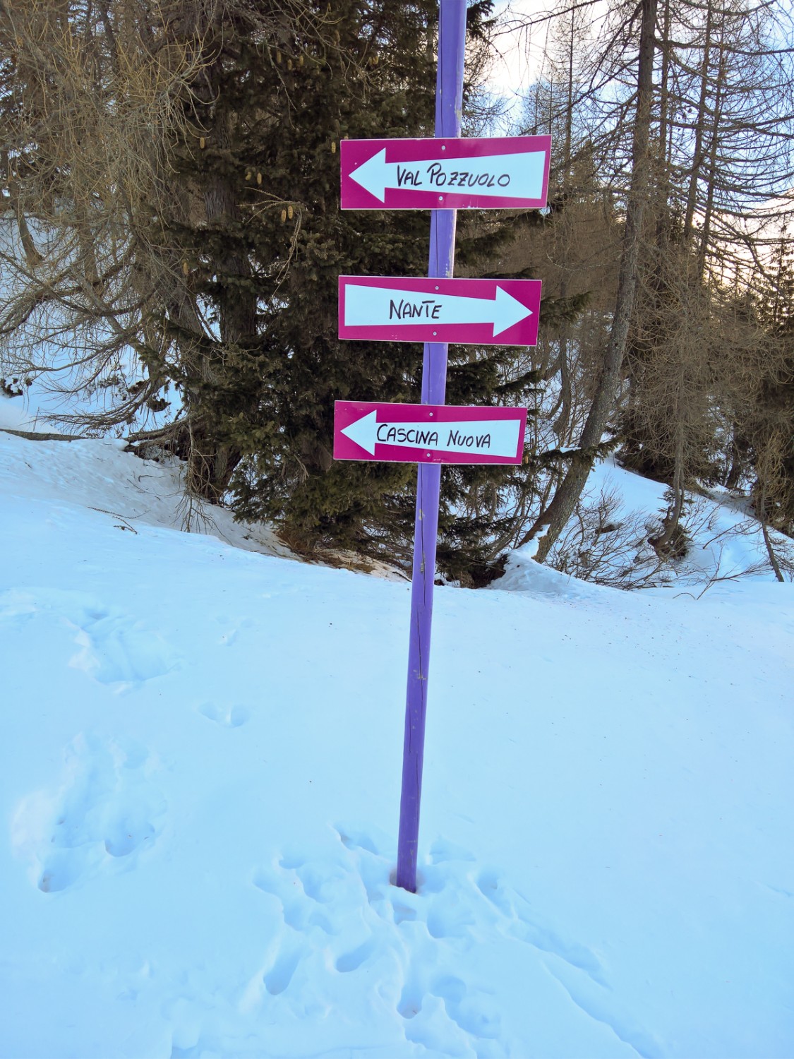 Les poteaux violets et les panneaux rose vif indiquent la direction à suivre. Photo: Andreas Staeger