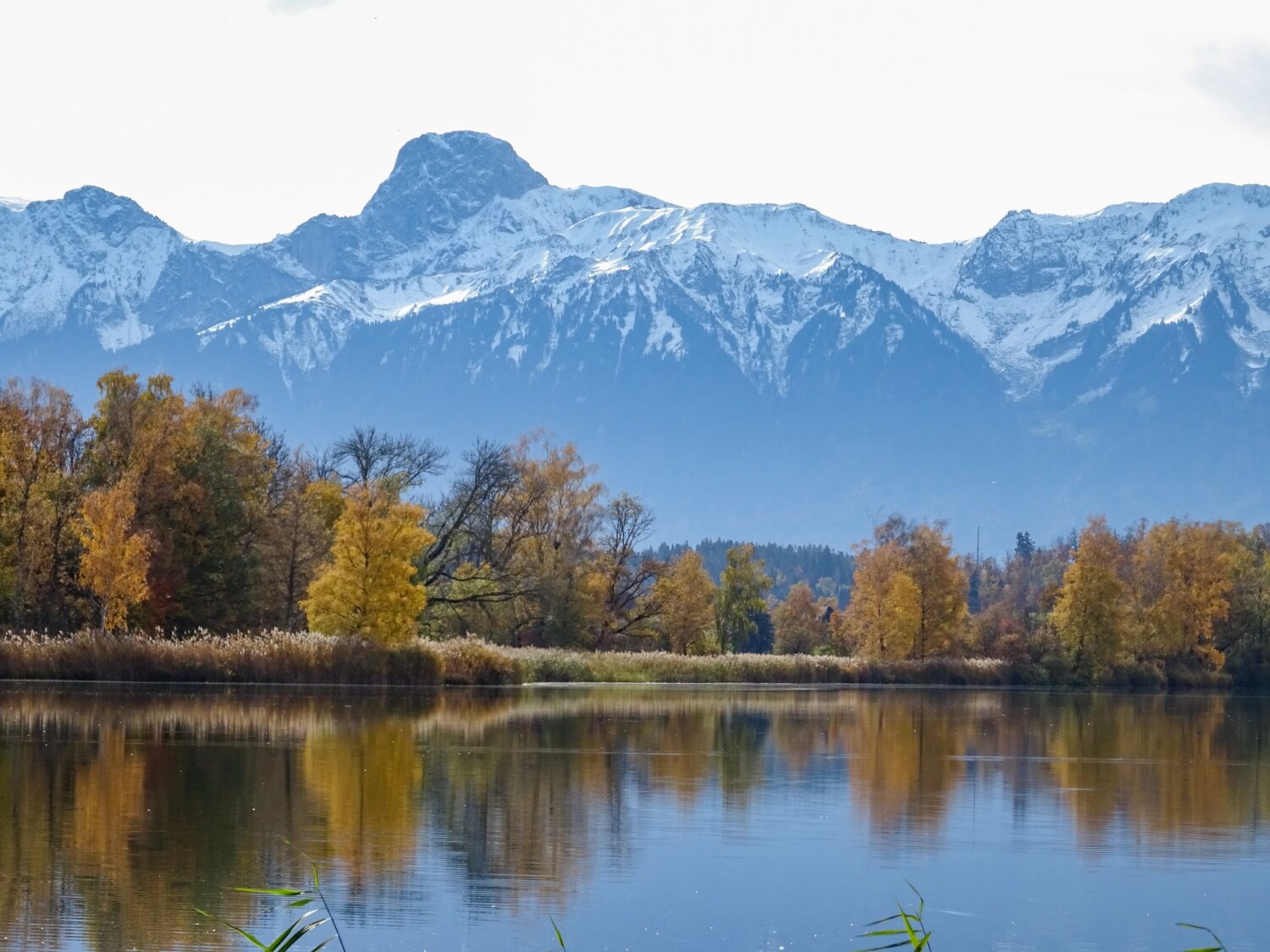 Der Gerzensee ist ein Toteissee, der aus einem riesigen, im Gesteinsschutt eingebetteten Eiskörper entstanden ist.