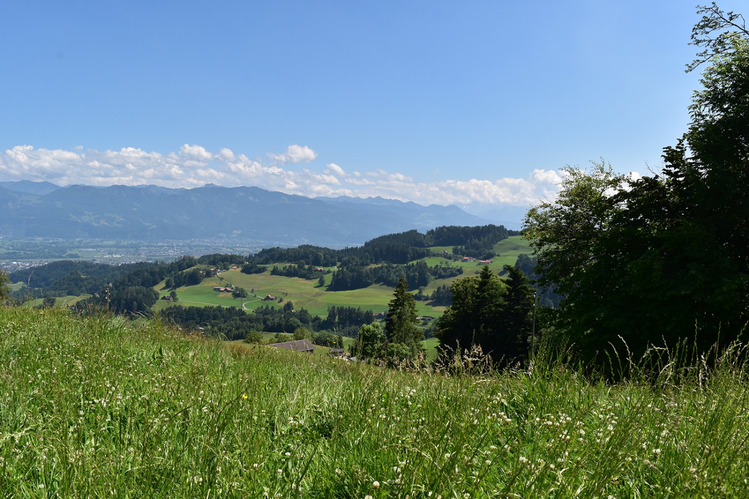 Par monts et par vaux dans le Vorderland typique et verdoyant d’Appenzell Rhodes-Intérieures. 