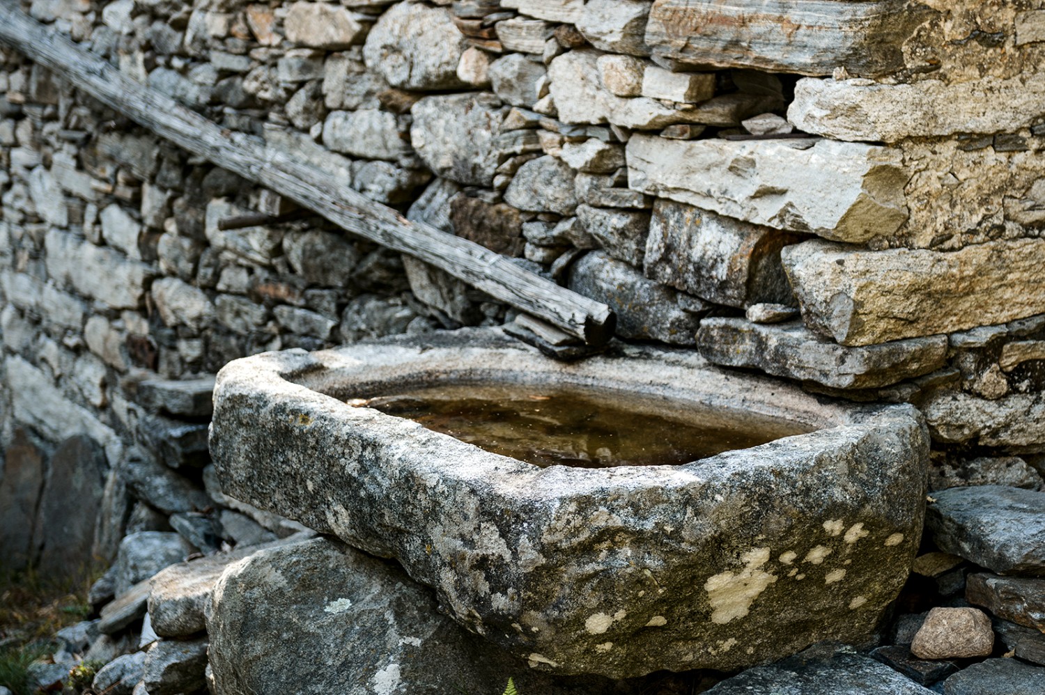 Des bassins monolithiques récoltent l’eau de ruissellement du toit.