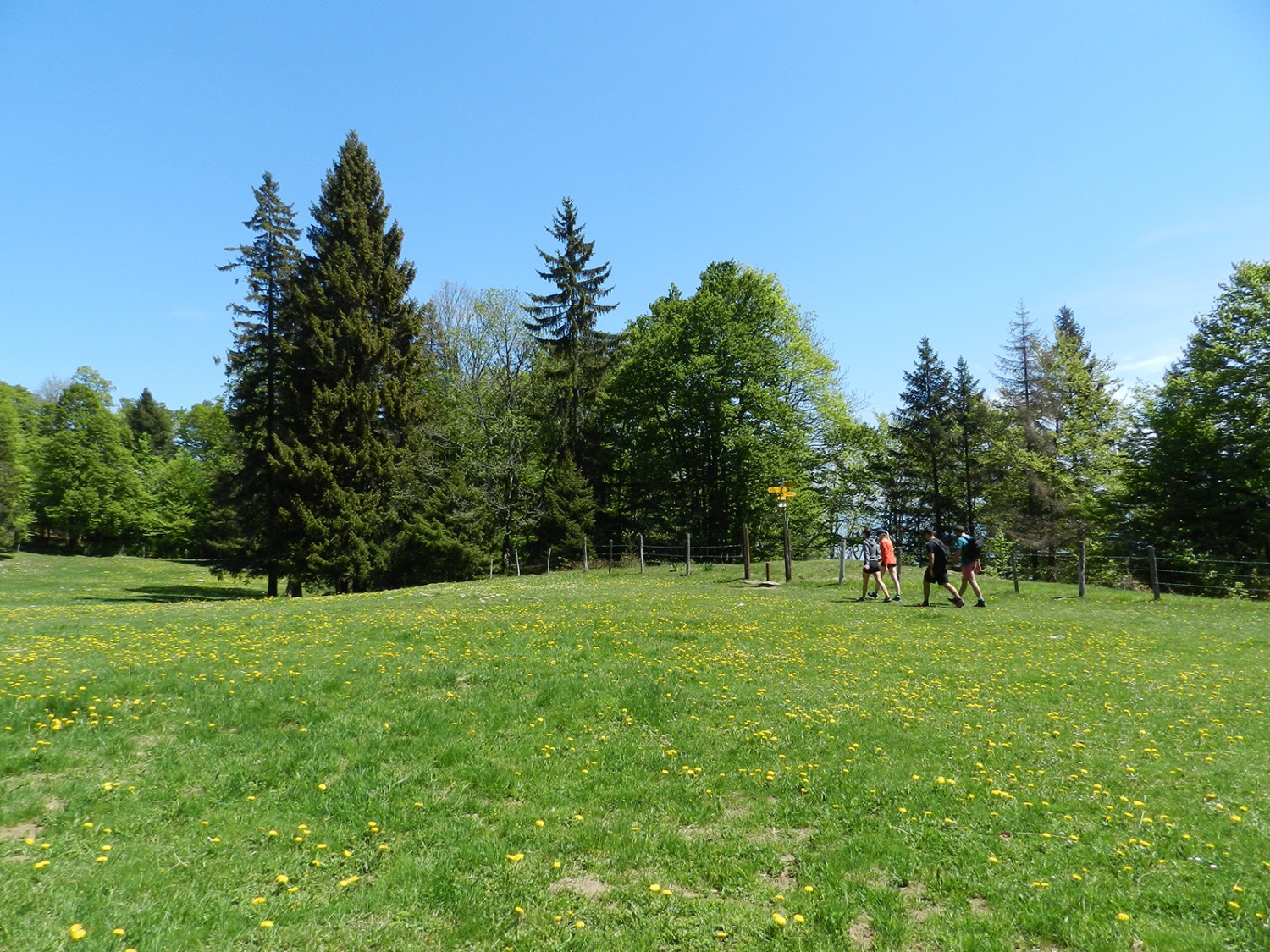 Aux Tablettes, une tendre prairie d’altitude se prête particulièrement bien à une pause prolongée.