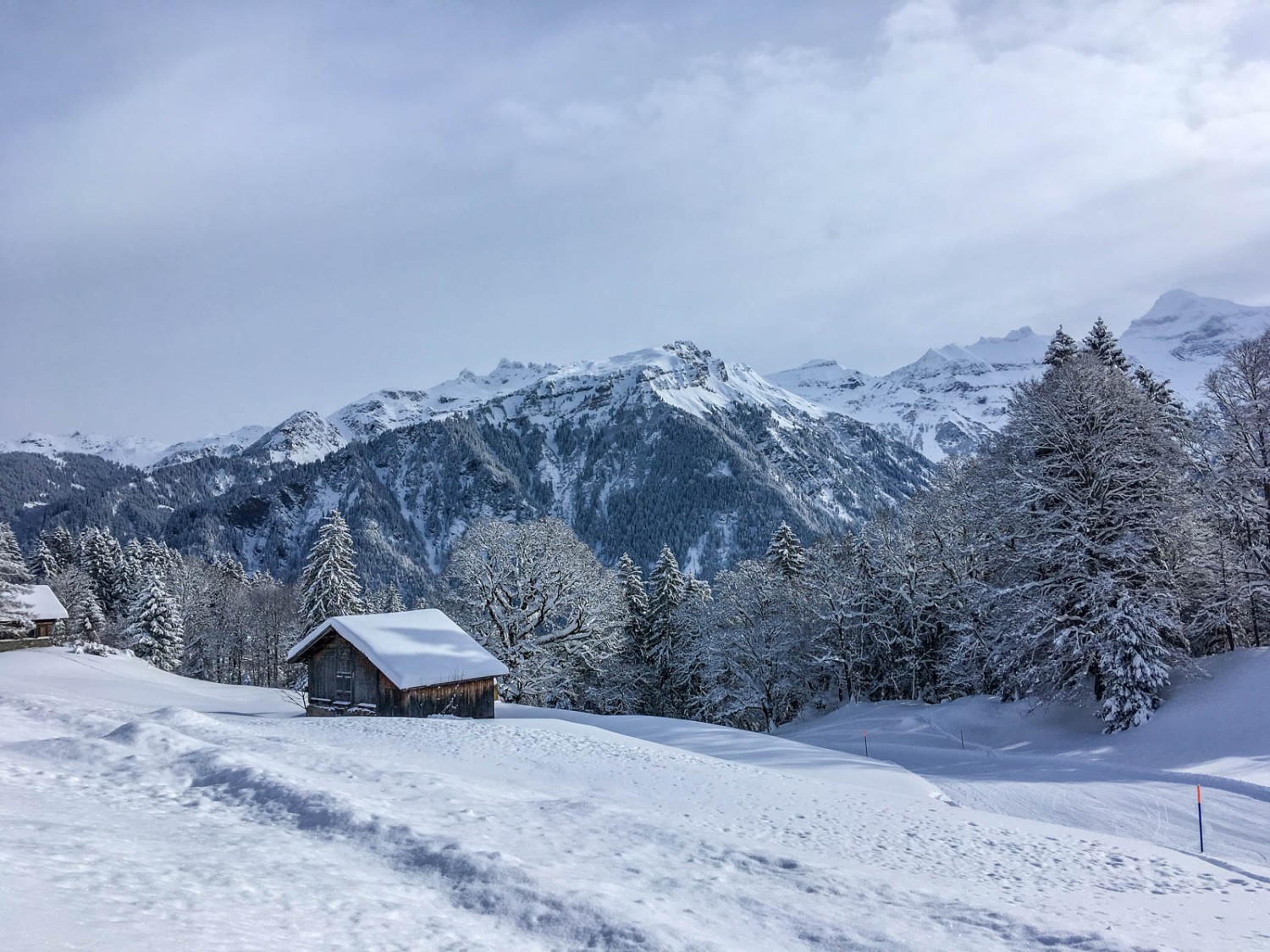 Charmant paysage hivernal au-dessus de Braunwald. Photo: Claudia Peter