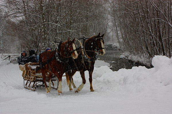 Des clochettes annoncent un traîneau tiré par des chevaux dans la neige.
Photo: Anne-Sophie Scholl