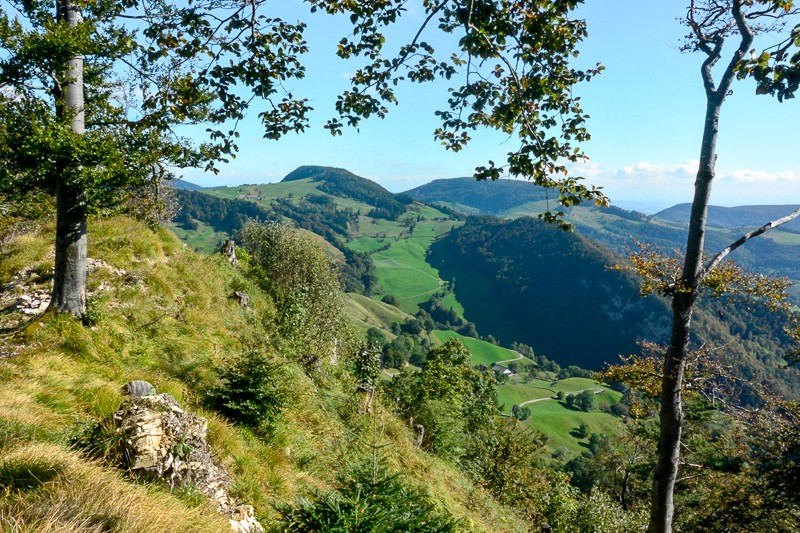 Vue magnifique depuis le Vogelberg sur le Plateau et les collines du Jura. Photo: Thomas Gloor