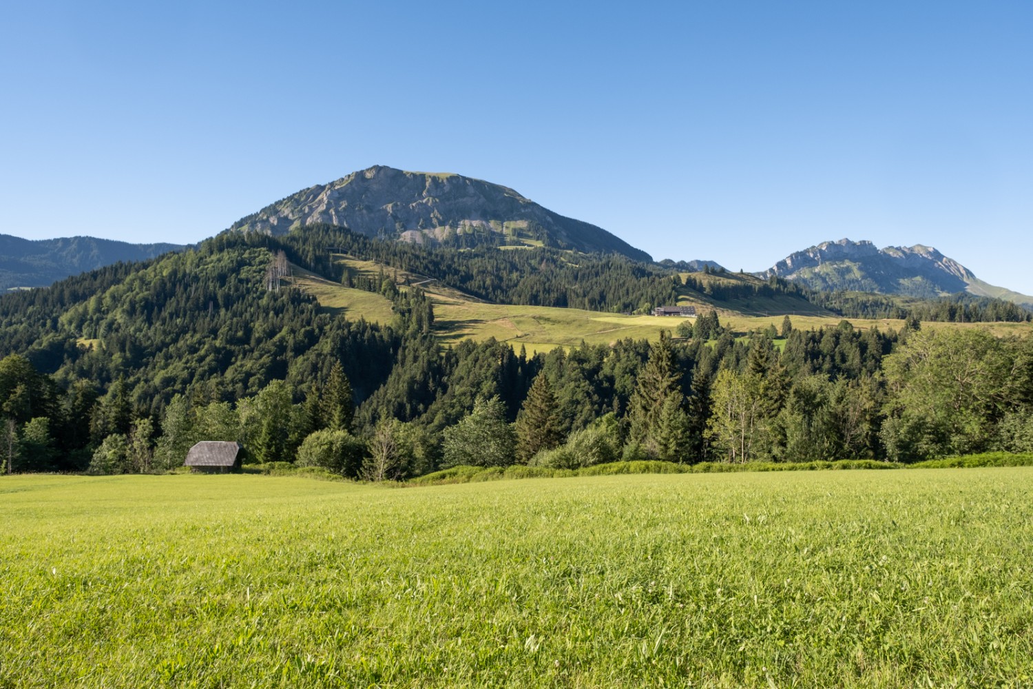 Le Schimbrig est une montagne de rêve, que l’on veut absolument gravir. Photo: Markus Ruff