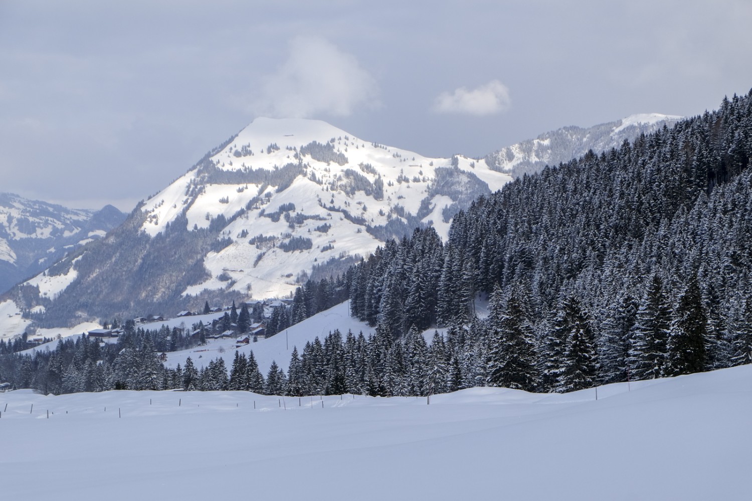 Le Buochserhorn et, à droite, la forêt d’épicéas sur la crête du Wirzweli. Photo: Elsbeth Flüeler