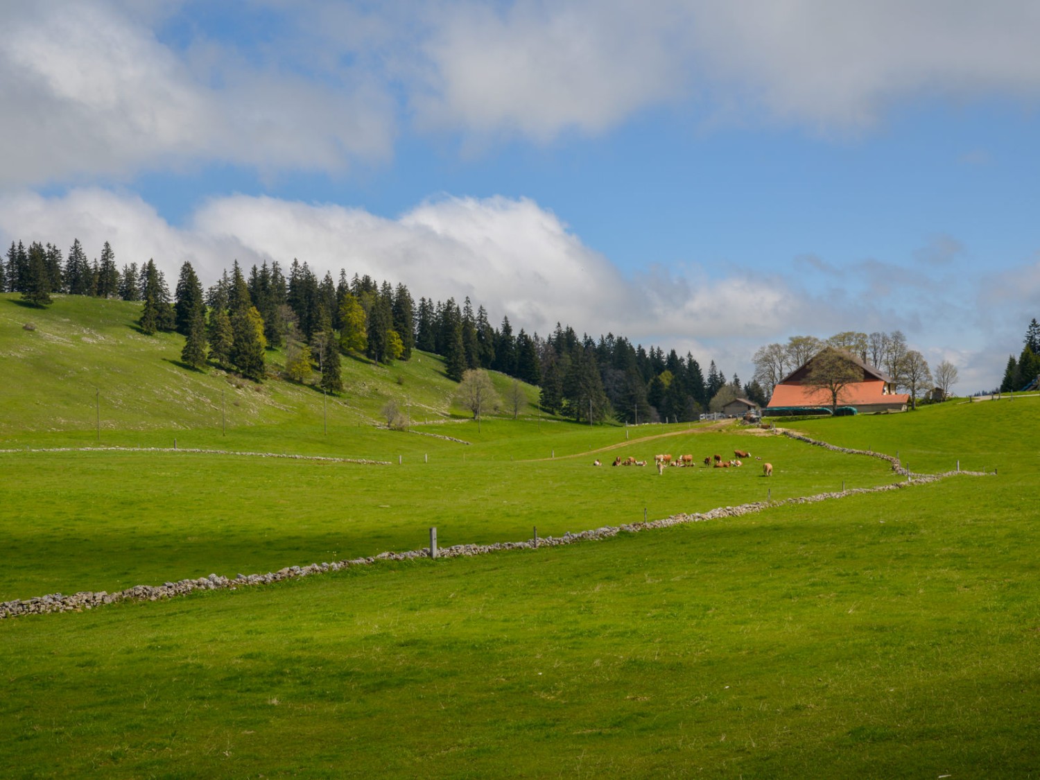Pour le paysan dont les champs et les bêtes dépendent des conditions météorologiques, le Jura présente aussi des défis.