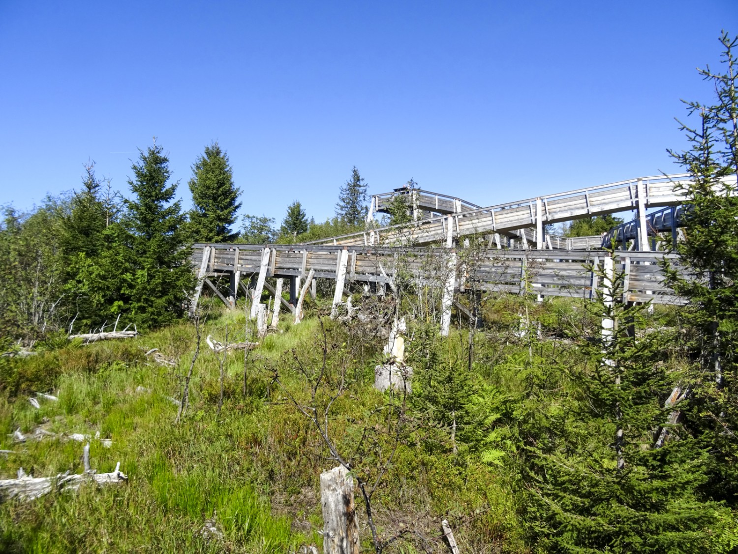 La passerelle Gäggersteg mène à une plateforme panoramique de plusieurs mètres de haut. Photo: Sabine Joss