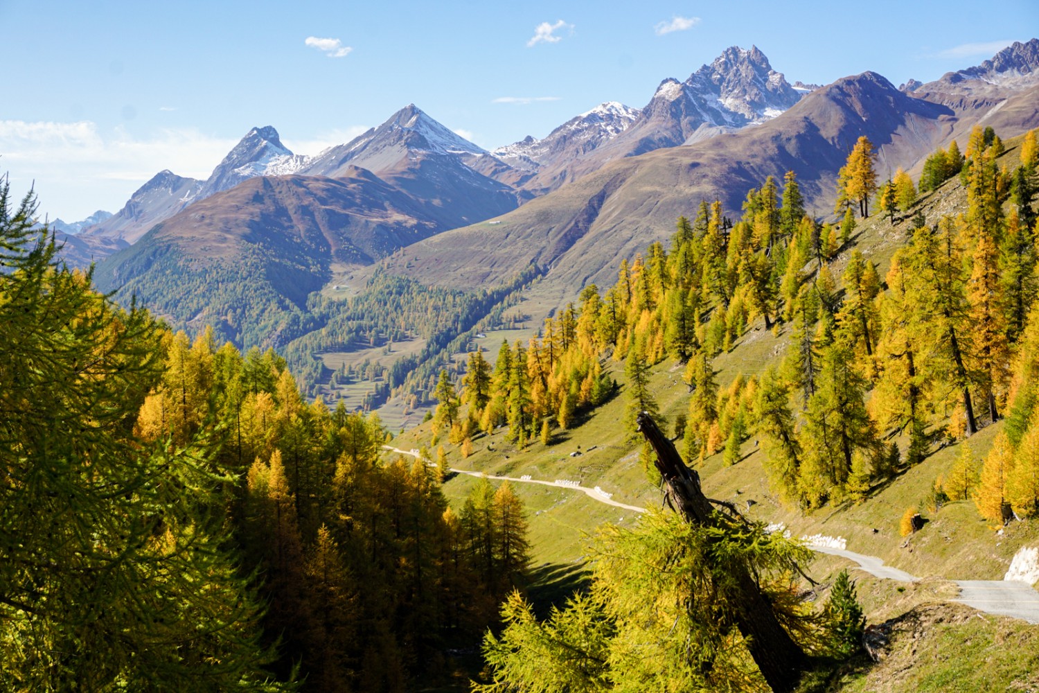 Vue au retour à Zuoz. Photo: Simon Guldimann