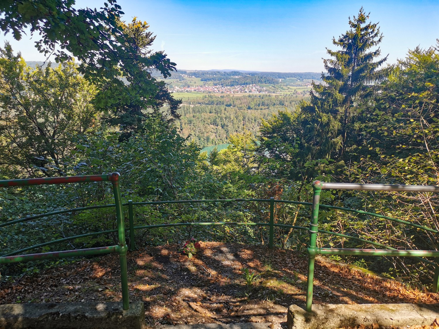 Au Paradiesgärtli, on peut apercevoir le Rhin entre les arbres. Photo: Andreas Staeger