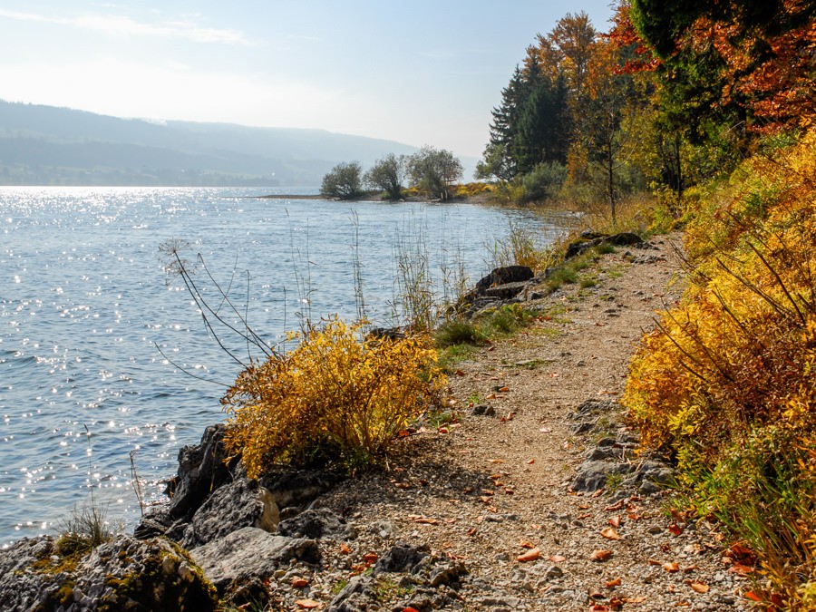 Le chemin bucolique qui longe la rive ensoleillée du lac de Joux.