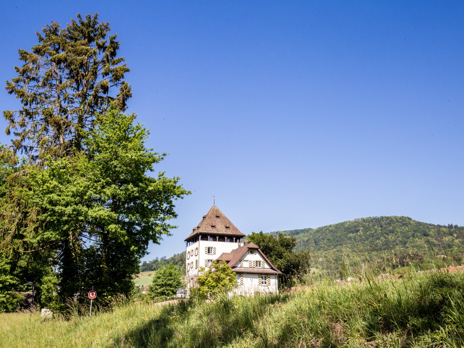 Le petit château d’Auenstein avec la Gisliflue en arrière-plan. Photo: Daniel Fleuti