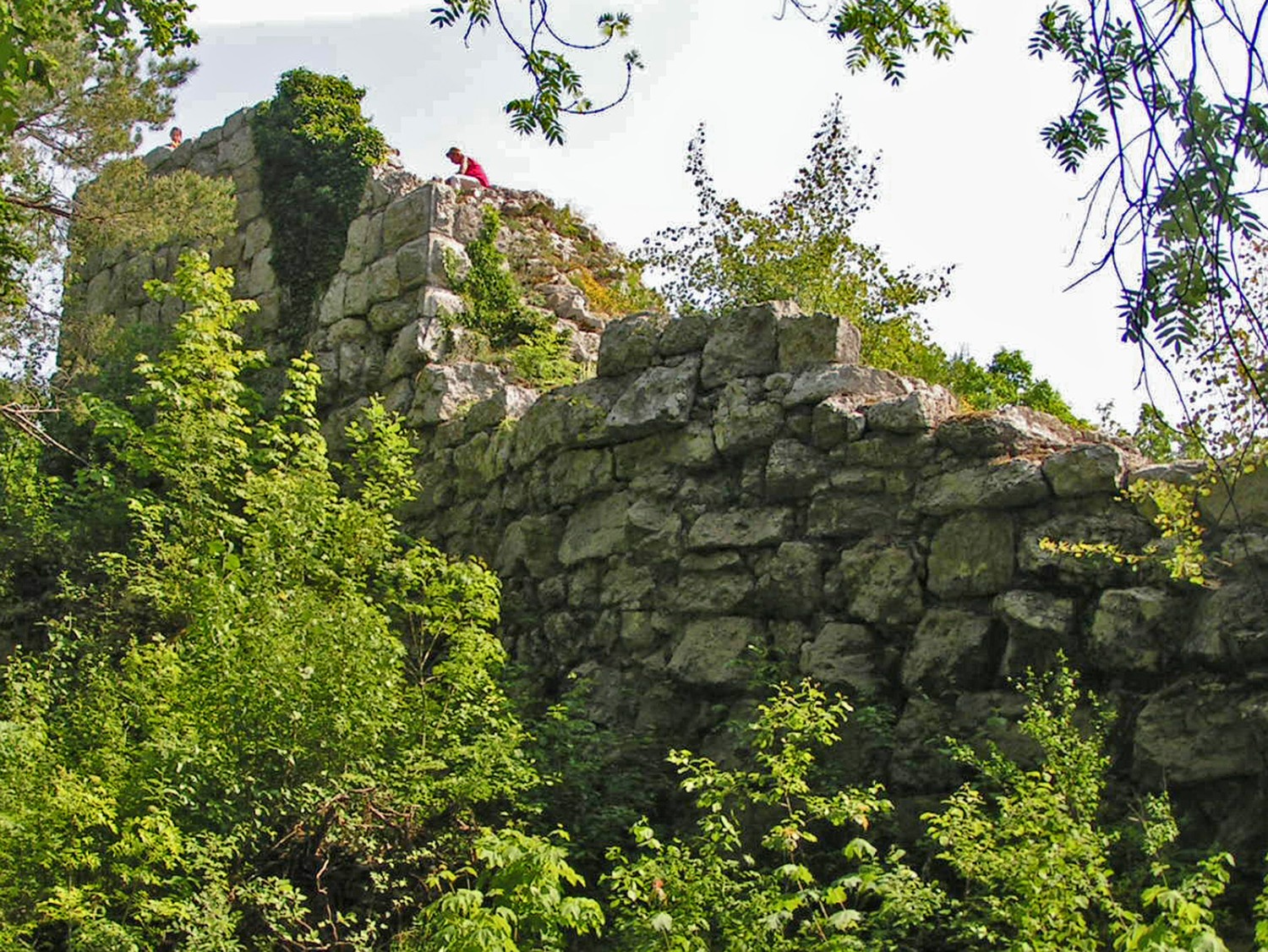 Nach einer Viertelstunde ist die Ruine Radberg erreicht. Bild: Heinz Trachsler