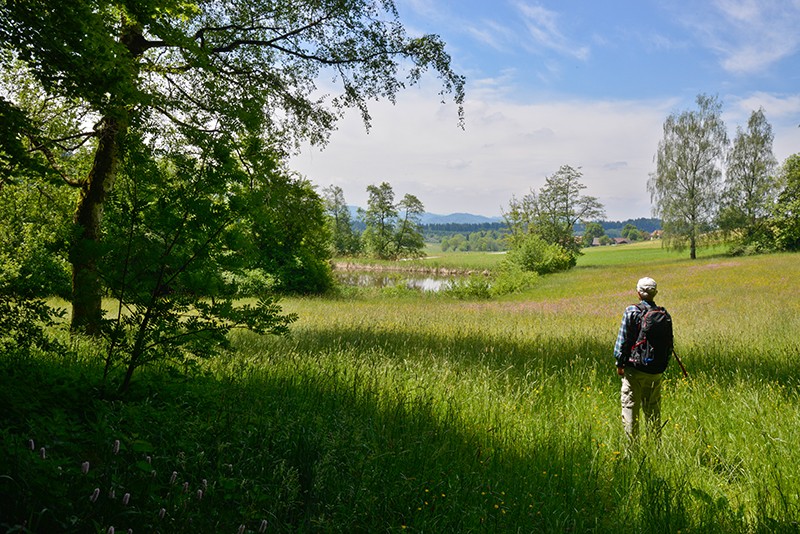 Un lac situé à l’est d’Oberwil offre un lieu idéal pour faire une pause.