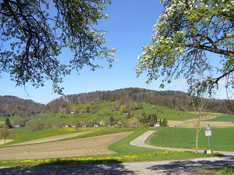 Douces collines et prés fleuris invitent à la promenade.       Bild: Werner Nef