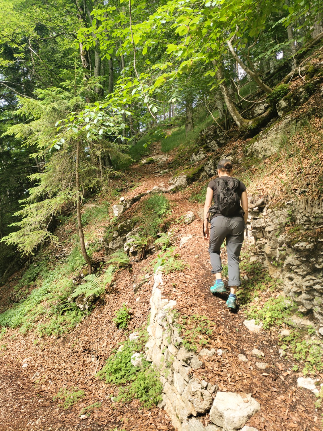 Salendo verso il Mont Raimeux: lo stretto sentiero è ben consolidato con muretti a secco. Foto: Michael Dubach