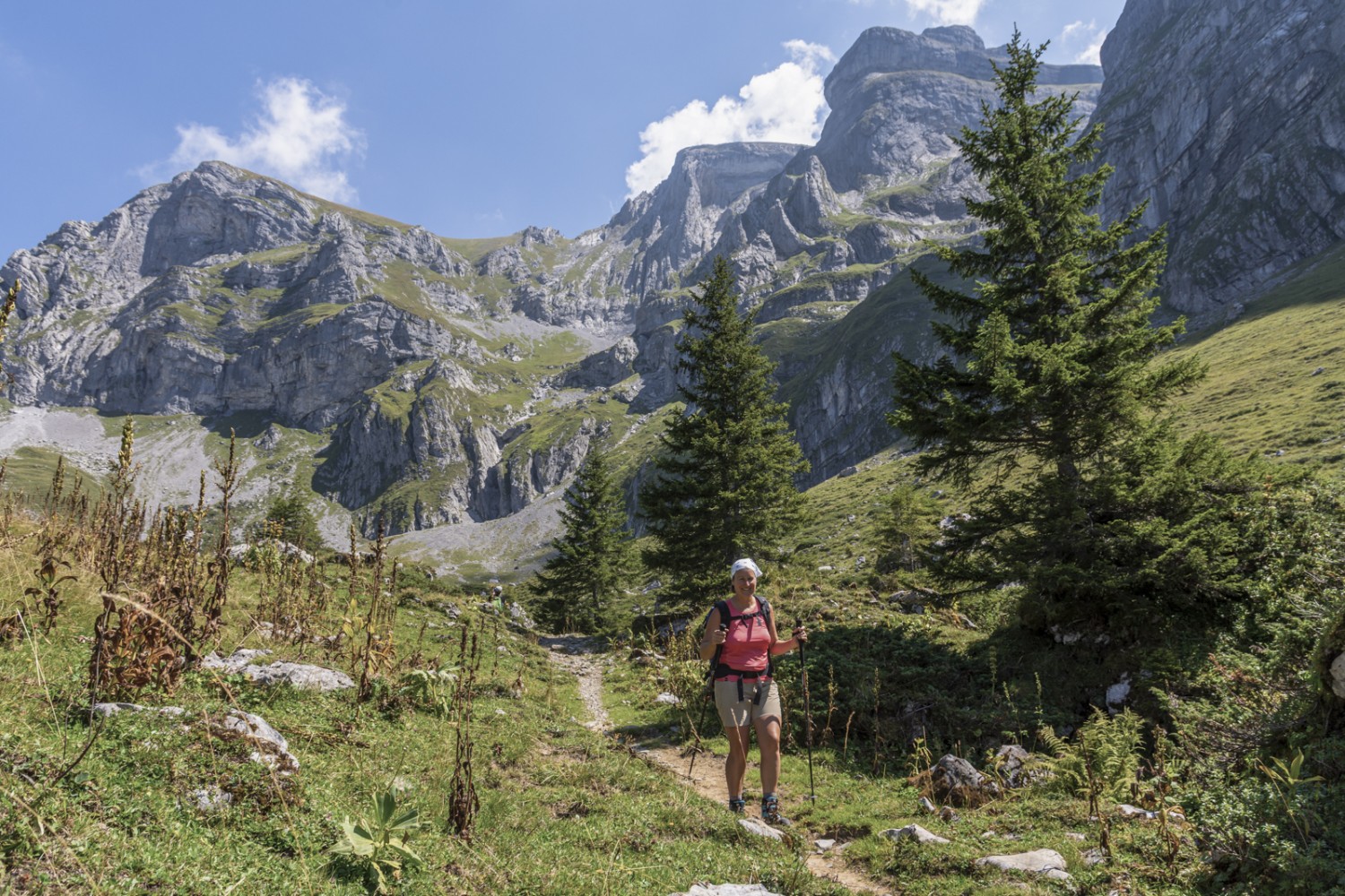 Peu avant Walenalp, le chemin est bordé de rochers et de sapins. Photo: Franz Ulrich