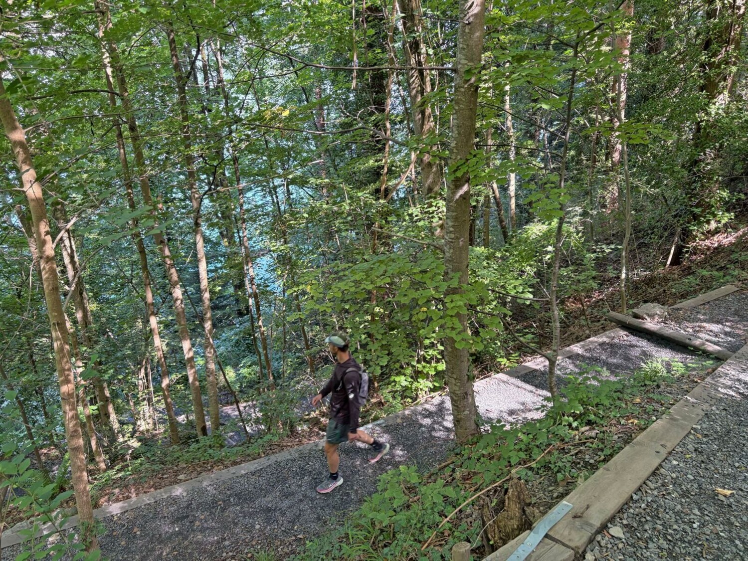 Nach der Buggitalgalerie führt ein Schotterweg durch einen jungen Wald hinunter ans Seeufer.