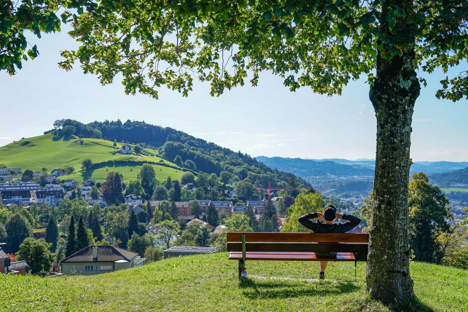 Zeit für eine Pause am Rand des Berneggwalds.