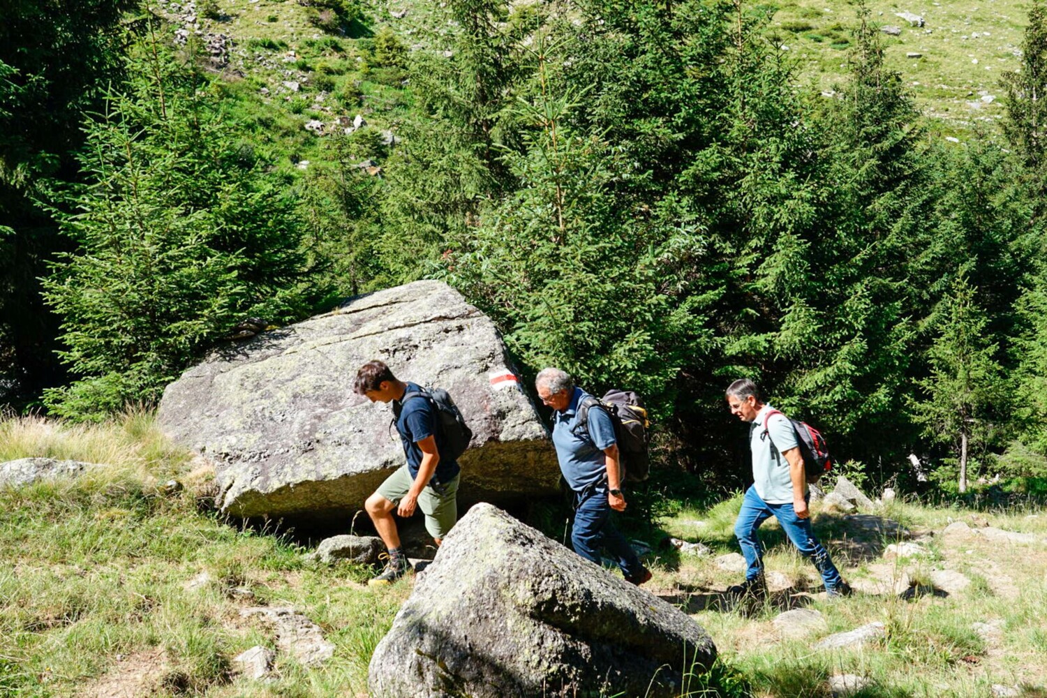 Es ist eine Bergwanderung, die unter anderem als Zustieg zur Terrihütte dient.