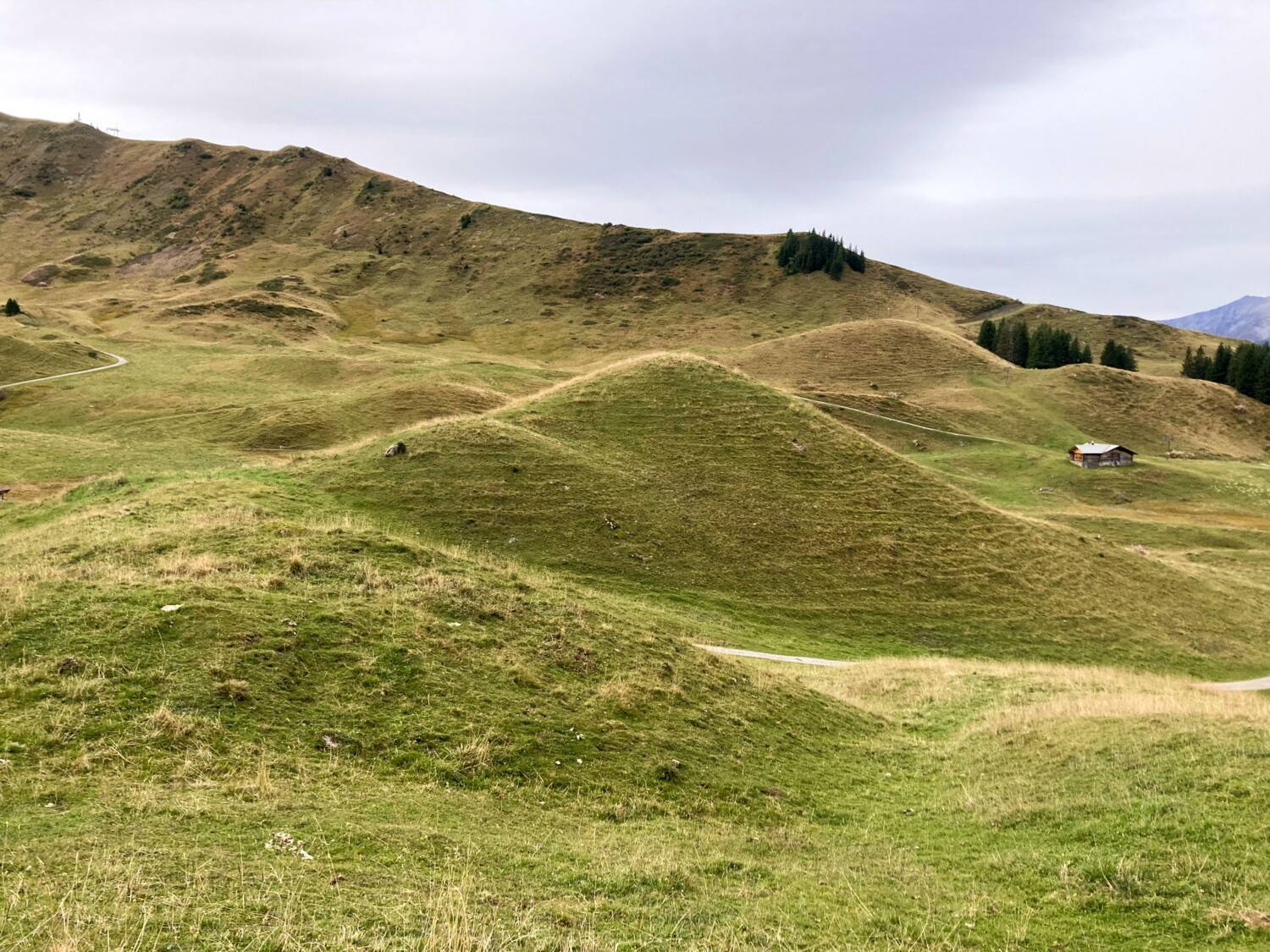 Les moraines formées il y a des millénaires sont aujourd’hui de jolies collines herbeuses.