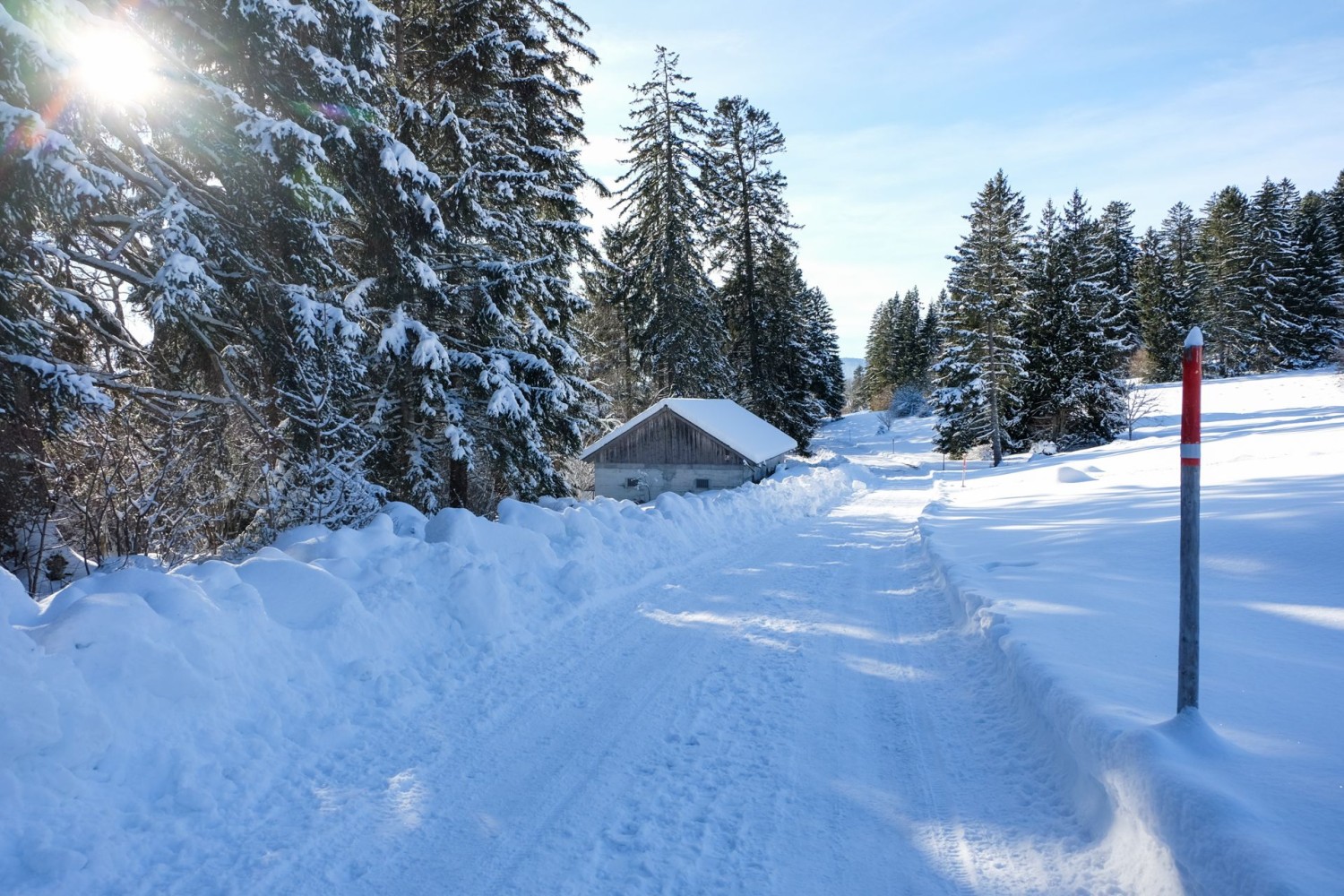 Es ist Winter. Die Sommerweiden und Ställe sind tief verschneit.
