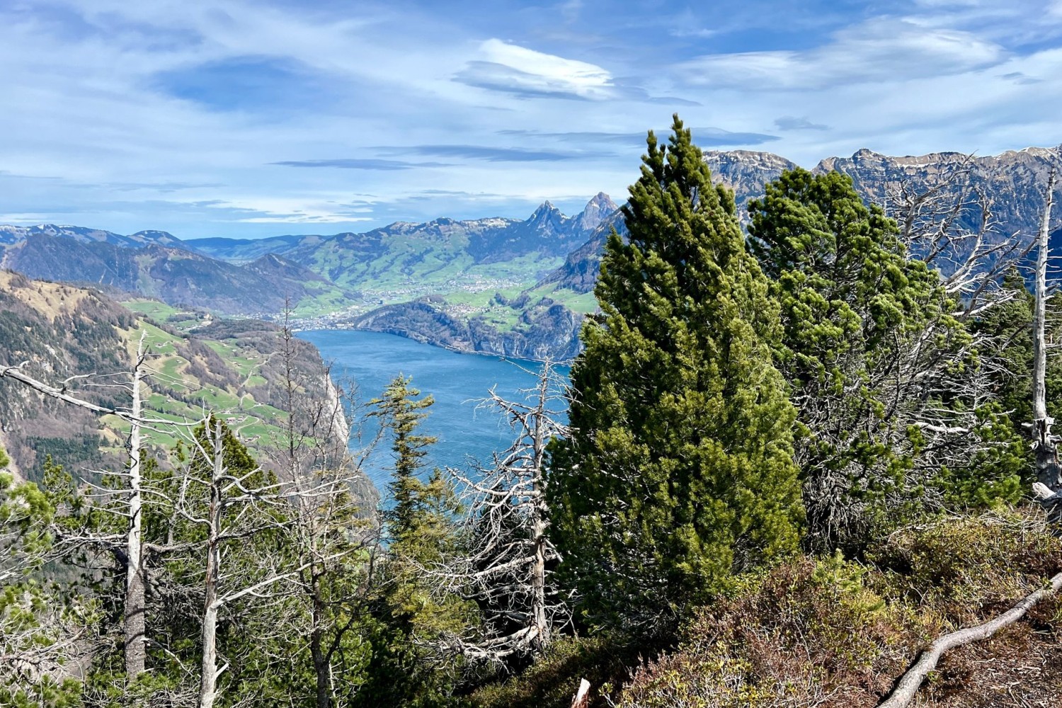 Au nord, on aperçoit Brunnen, Schwyz et les pointes des deux Mythen.