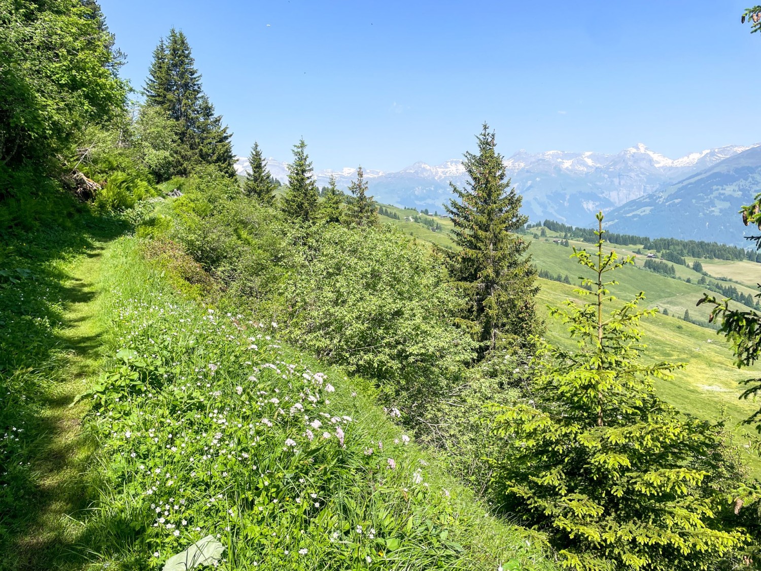 Sur le flanc du «Rigi des Grisons»