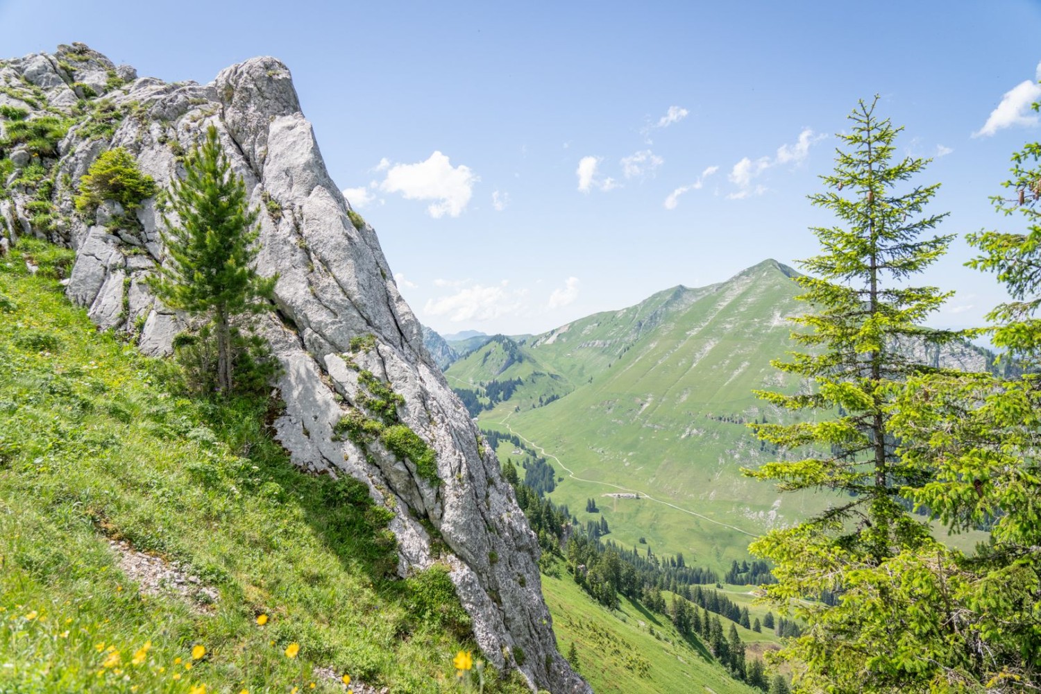 Vue du col Wolfs Ort sur le canton de Fribourg