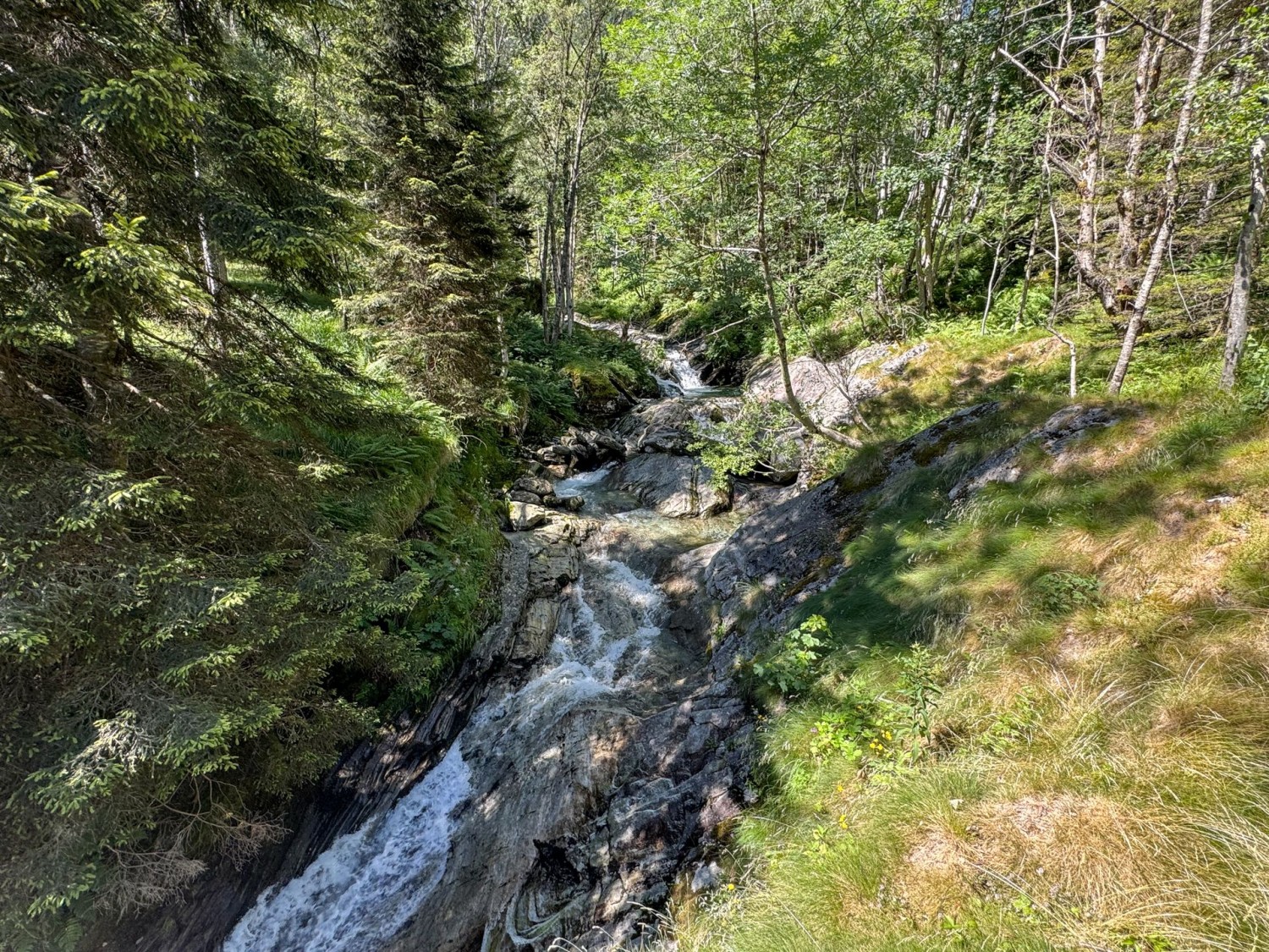 Wild sprudelt der Bergbach Ri d’Arnau.