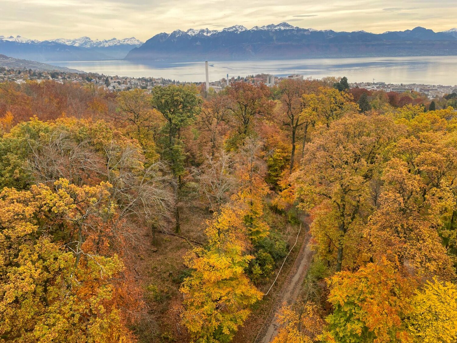 De la tour de Sauvabelin, on voit Lausanne, le lac Léman et les sommets du Chablais.