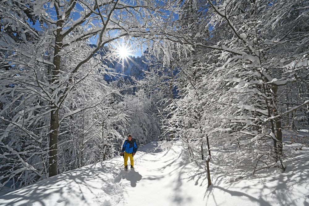Nach der Talsohle geht es durch den Wald hinauf.