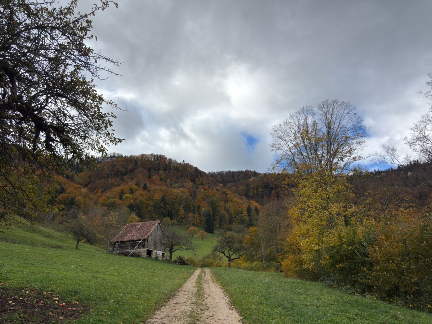 Zunächst führt der Wanderweg über Wiesen- und Feldwege.