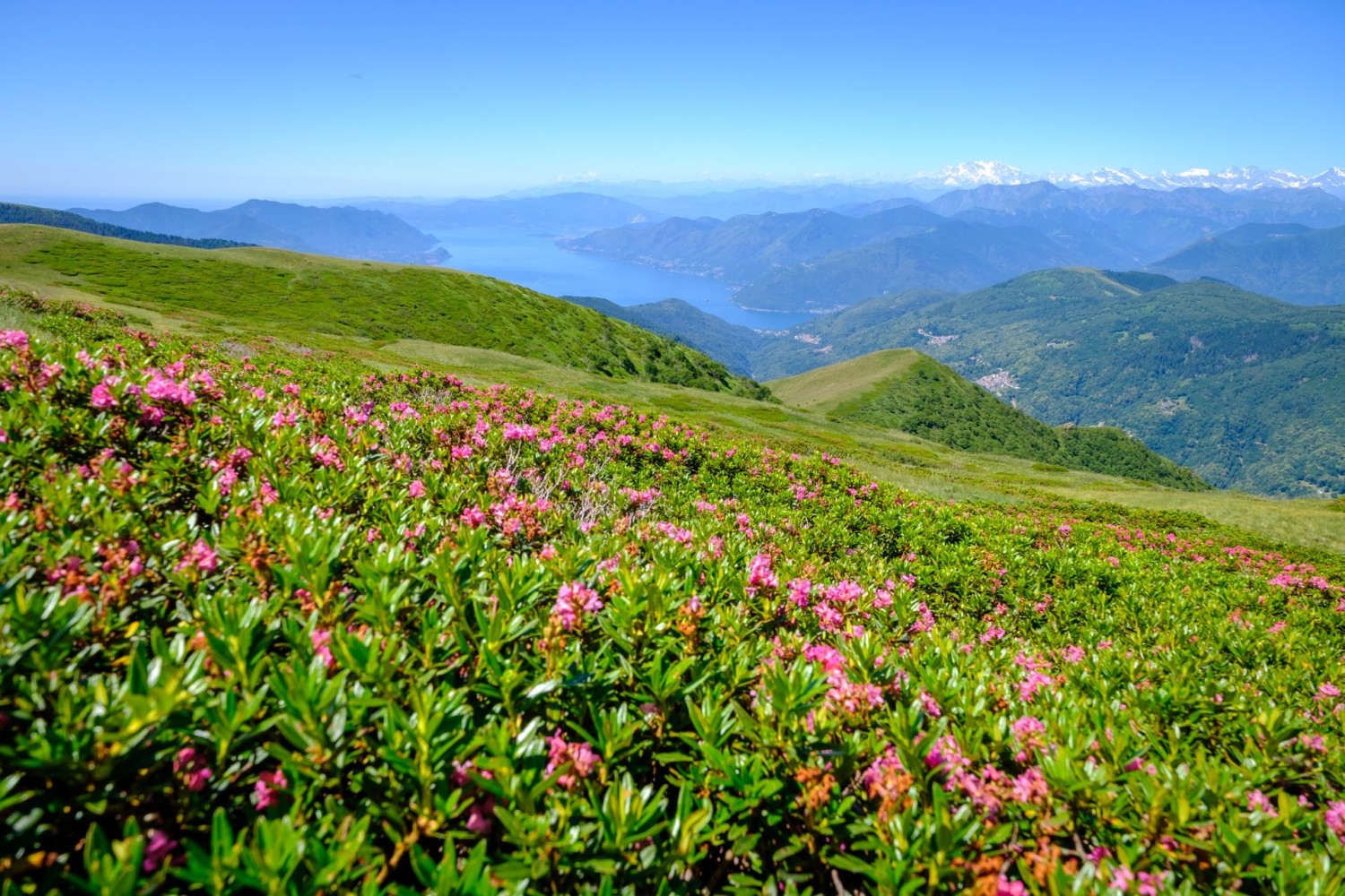 Dal Gradicciòli, la vista si apre sul Lago di Lugano e sul Monte Rosa.