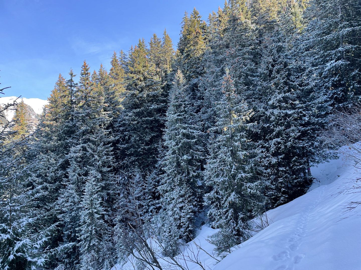Bei den Haslizwergen im Winter