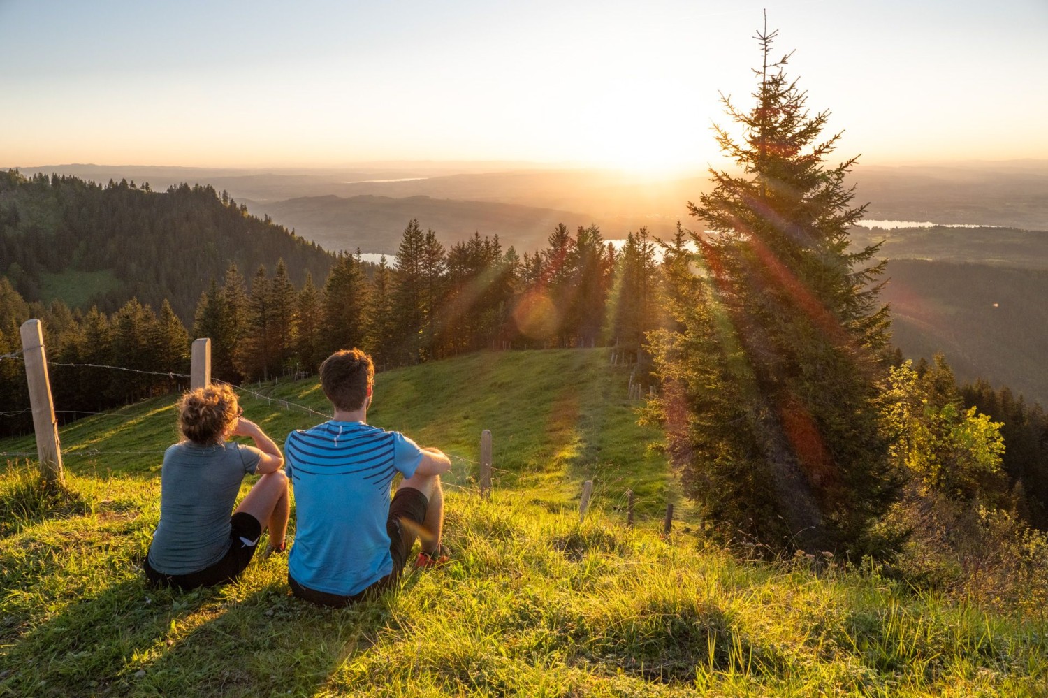 Sonnenuntergang auf dem Wildspitz. Hinter den Tannen leuchtet der Zugersee.