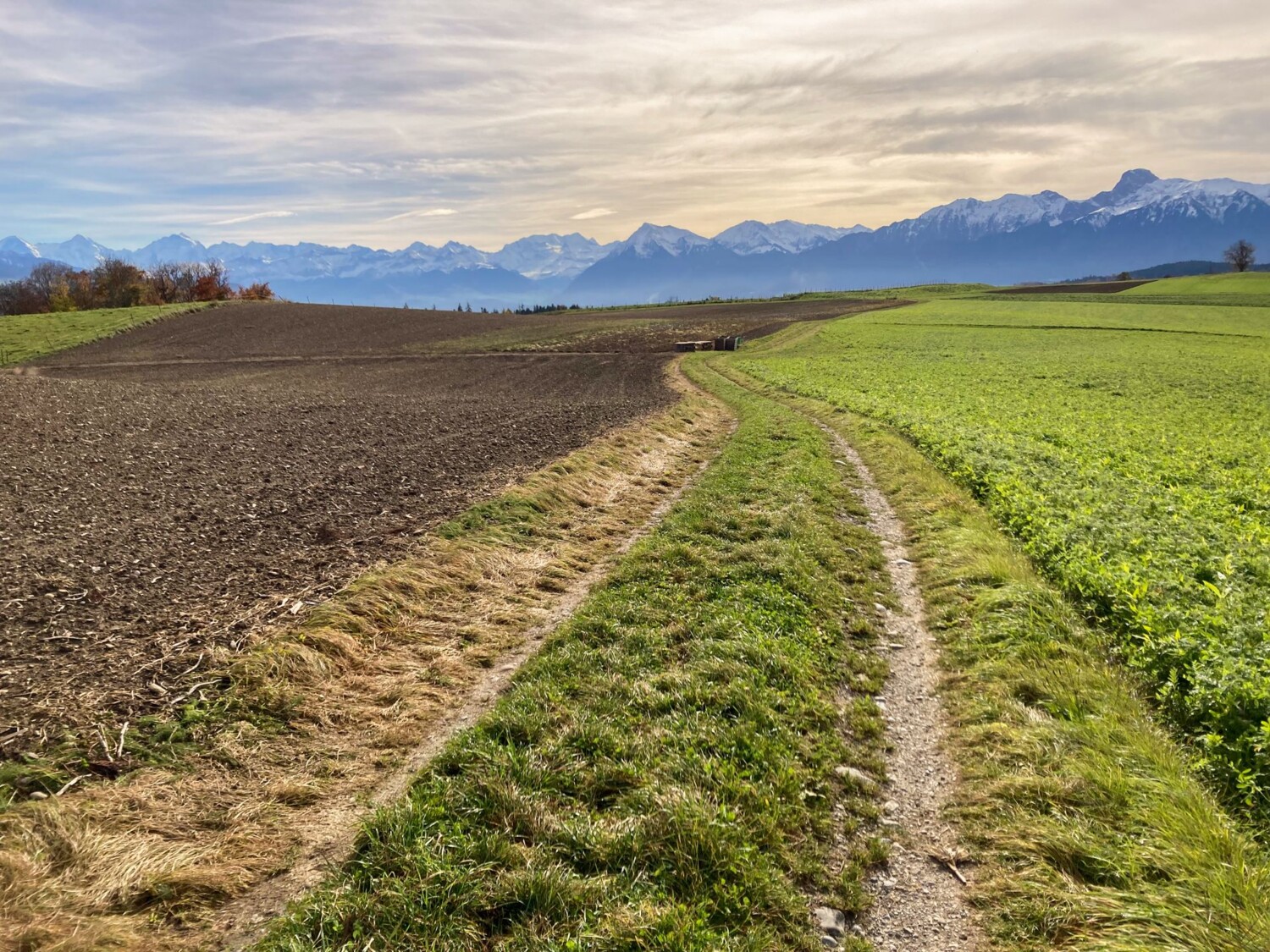 Blick zurück zu den Berner Alpen kurz nach Kirchdorf.