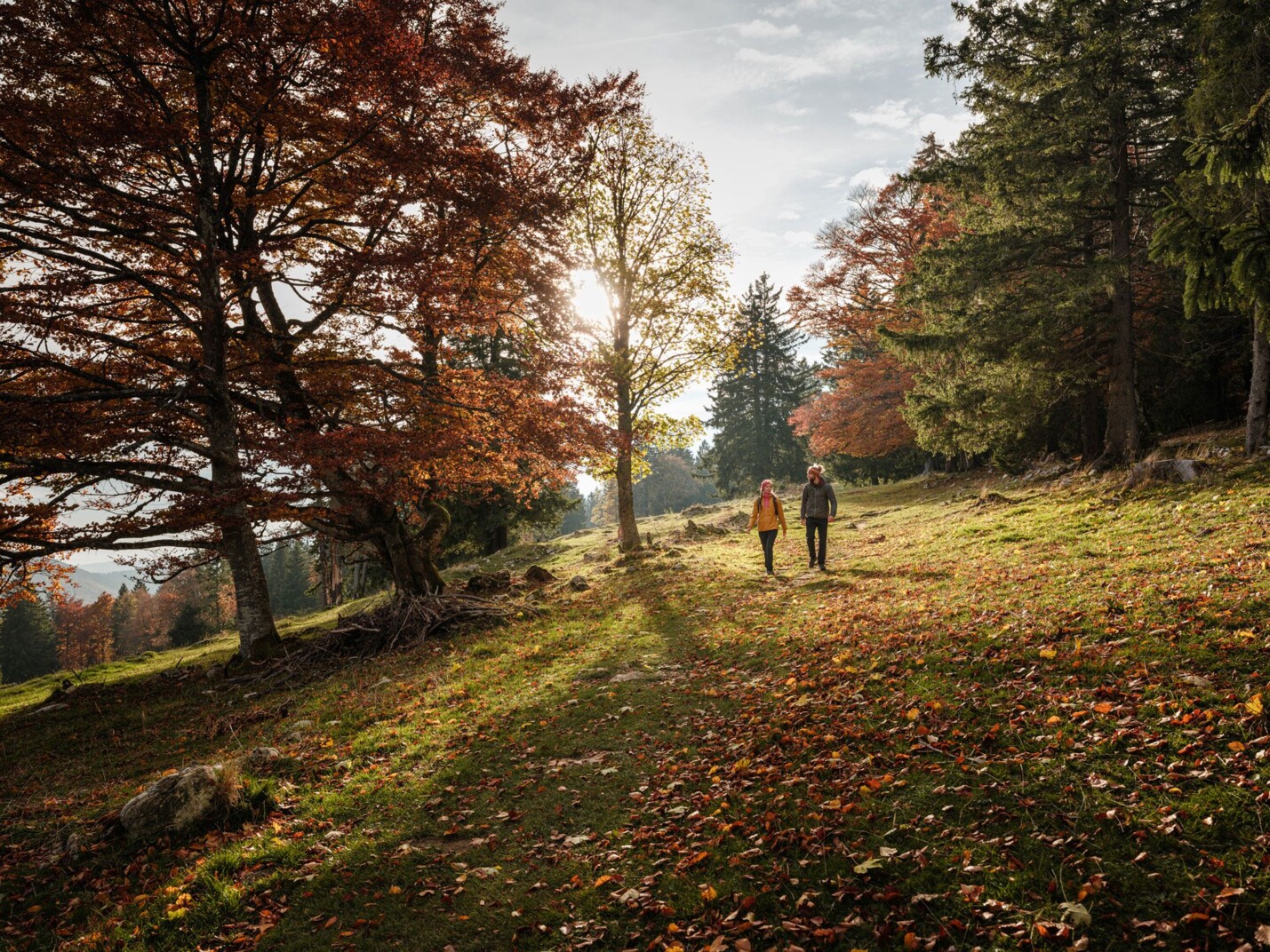 SWW_Herbst_25_0972
