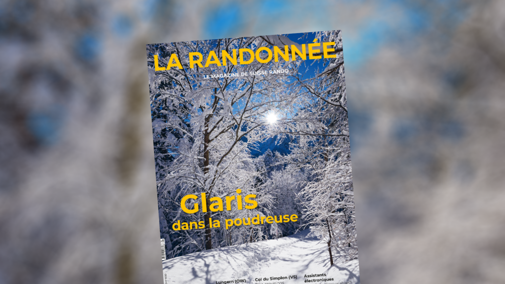 2025-6_Web_1600x600px_d (1)