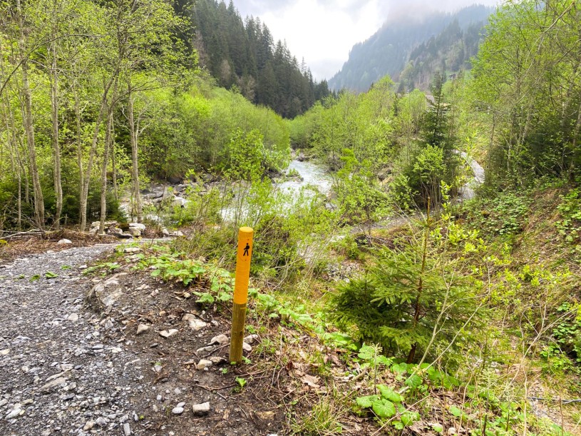 7_neue-Signalisation