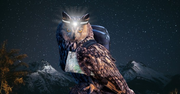 WaNa_KeyVisual_1920x1005_blanko