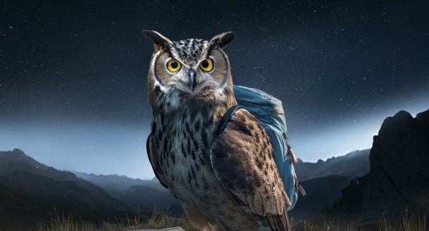 WaNa26_960x640_blanko_ohne