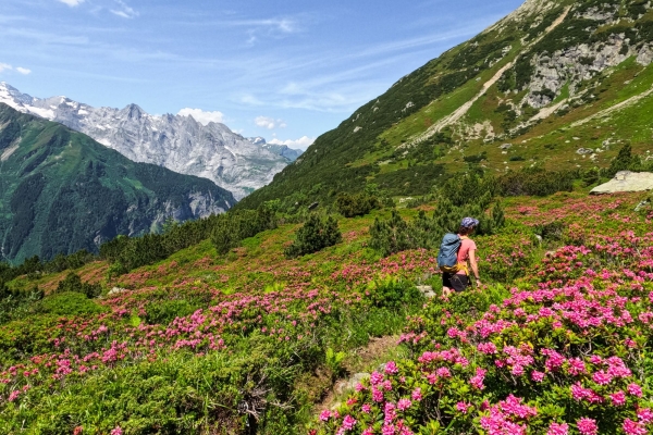 Aussichtsreiche Wanderung zum kristallklaren Wannisbortsee