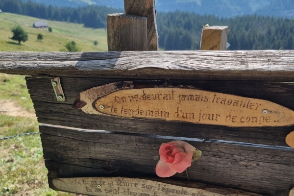 Auf dem Gratweg am Käsenberg