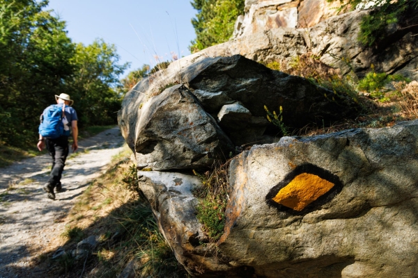 Im Land der Heuschrecken von Jeizinen