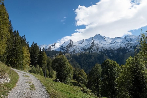 Wandern & Taiji-Qigong auf die Musenalp NW