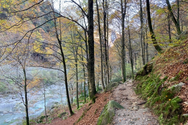 Auf den Spuren der schwarzen Brüder im Verzascatal