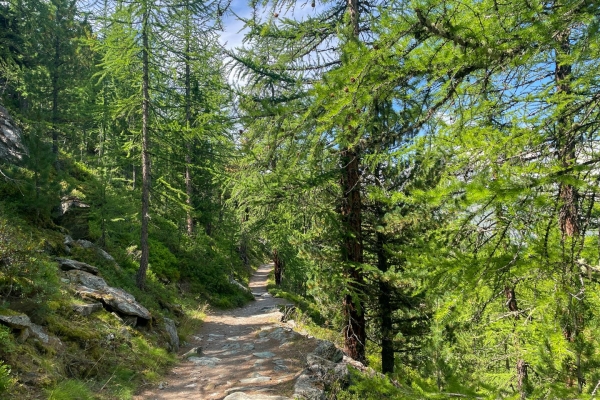 Fünf Seen und das Matterhorn im Blick